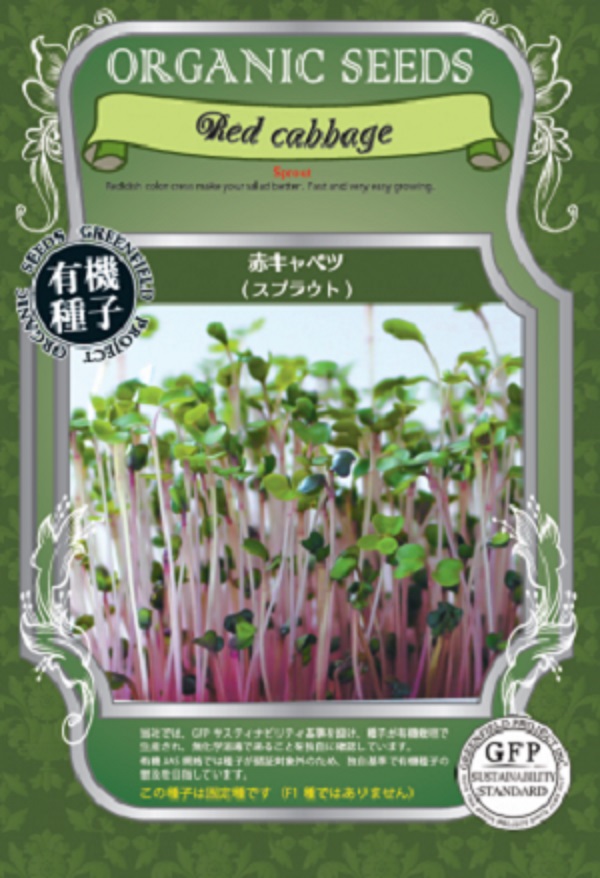 赤キャベツ(スプラウト)
