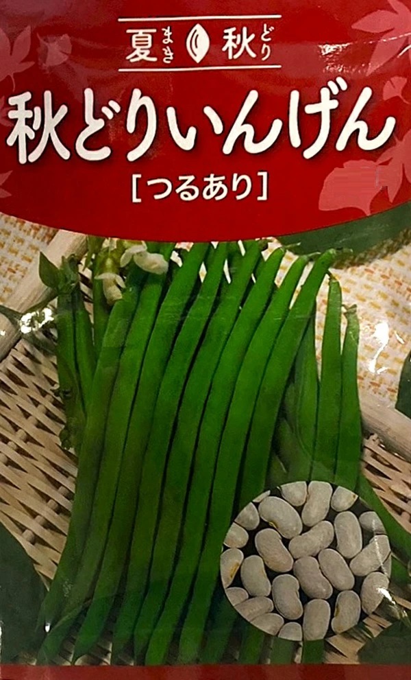 秋どりいんげん　フェスティバル