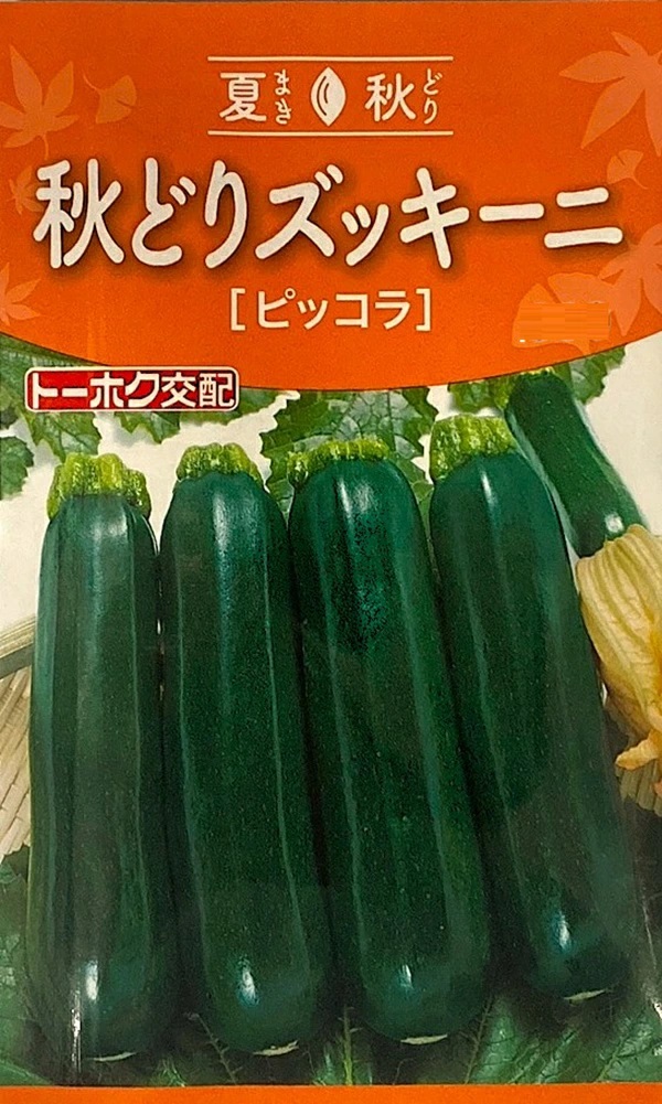 種子】 秋どりズッキーニ ピッコラ トーホクのタネ