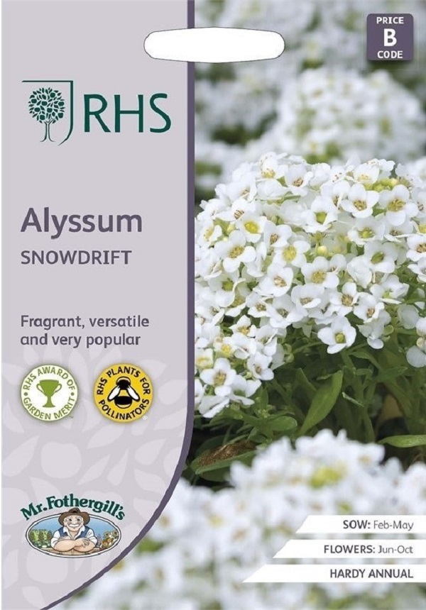 alyssum snowdrift