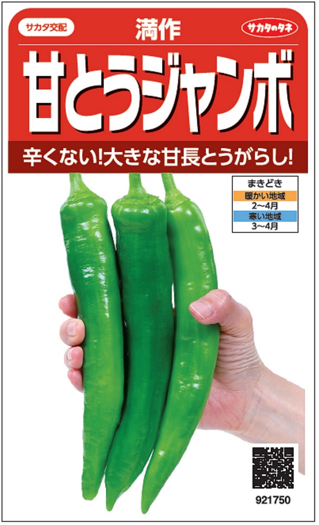 甘とうジャンボ　満作