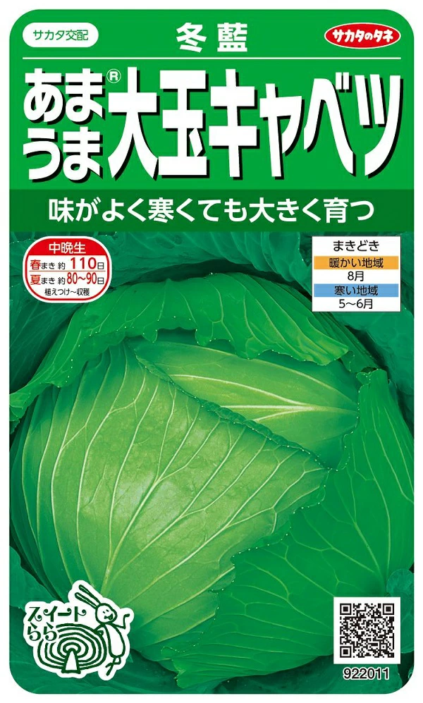 あまうま大玉キャベツ冬藍