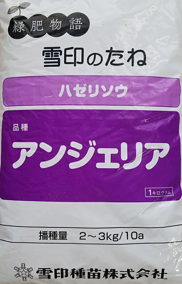 アンジェリア