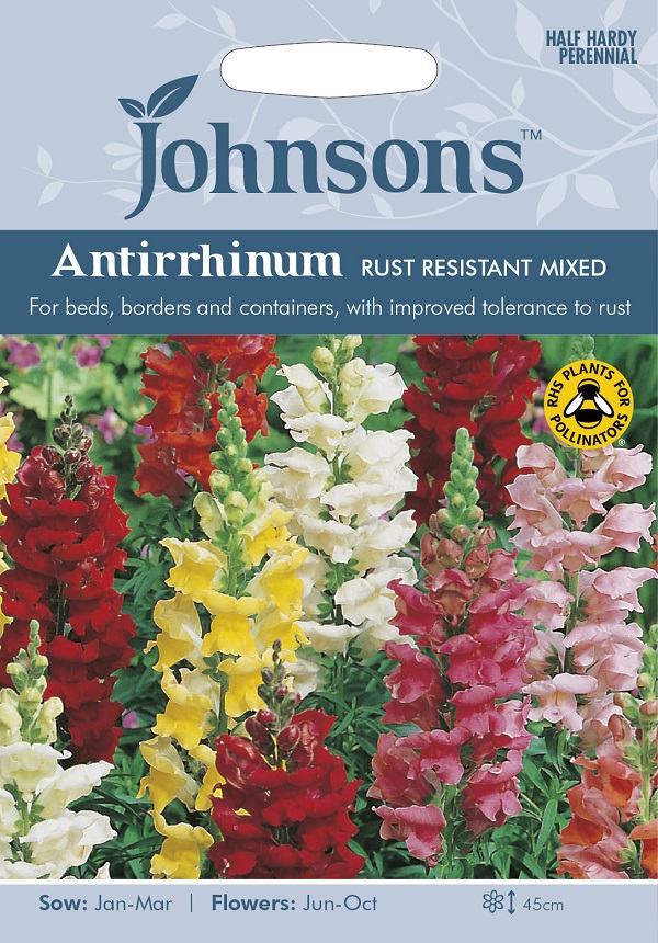 Johnsons Seeds Antirrhinum Rust Resistant Mixed アンチヒナム（金魚草）