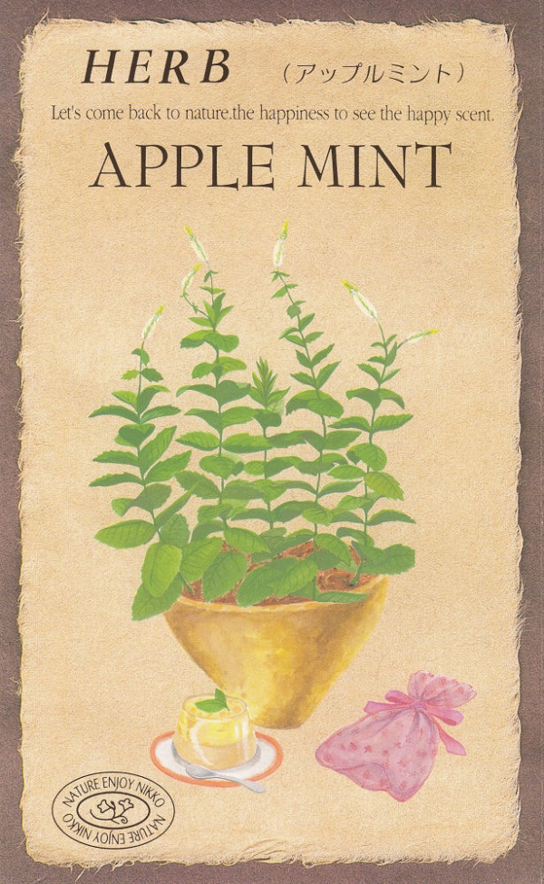 アップルミント