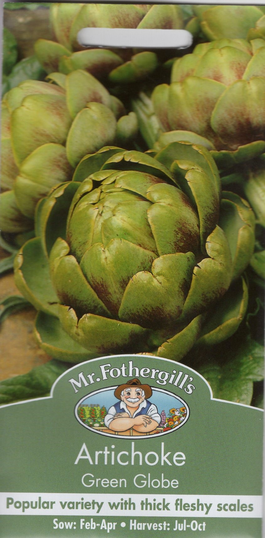 【輸入種子】 Mr.Fothergill's Seeds Artichoke Green Globe アーティチョーク グリーン・グローブ