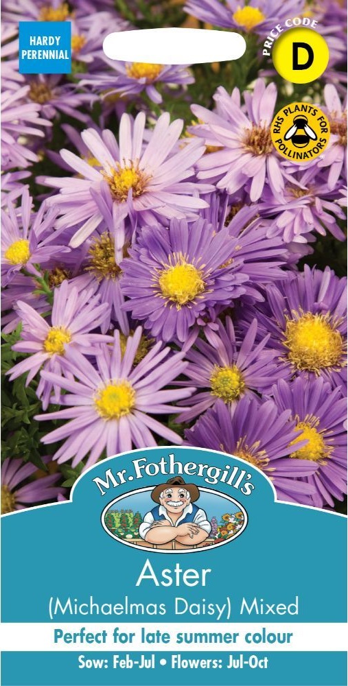 aster-michaelmasdaisymixed