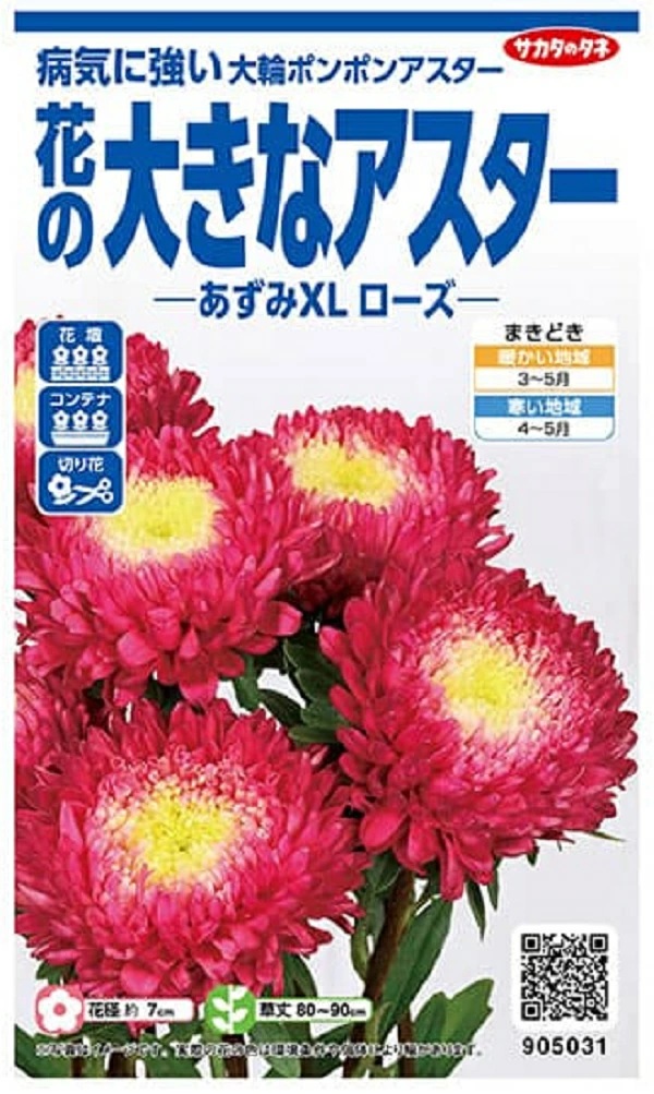 アスター　あずみXLローズ