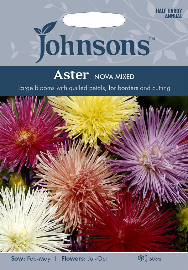 アスター・ノヴァ・ミックス