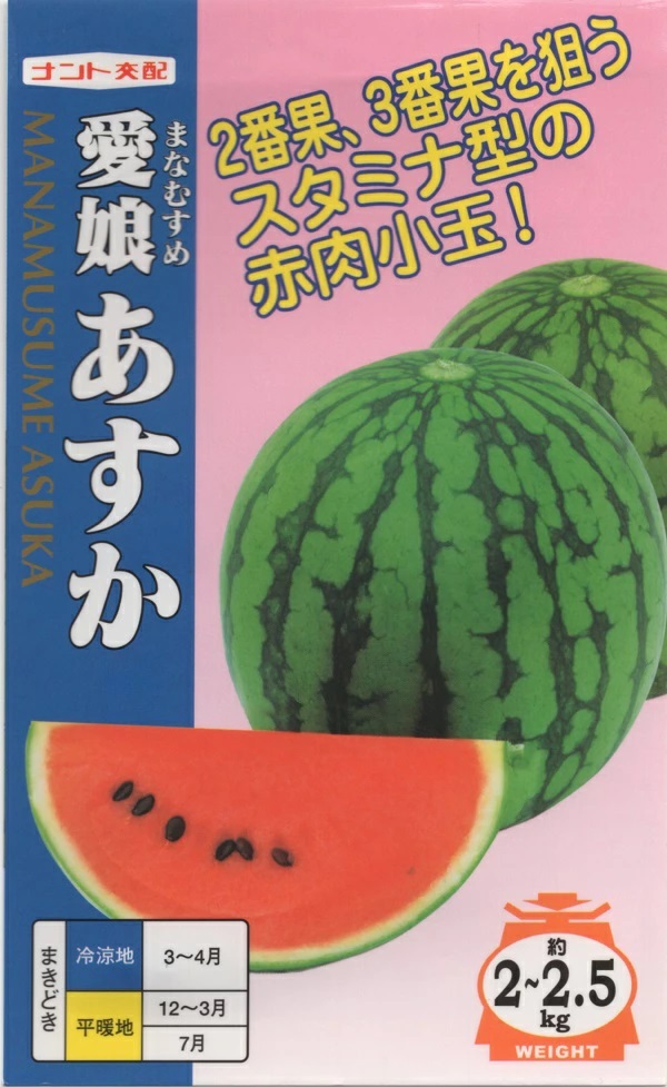 スイカ　愛娘あすか