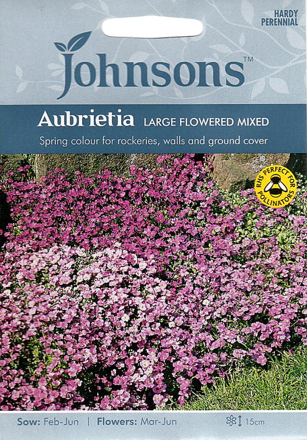 Aubrietia lage flowerd mixed