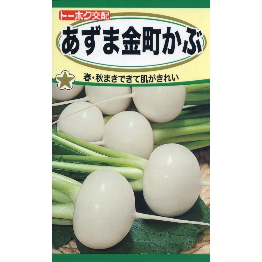 あずま金町かぶ