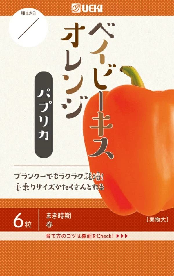 ベイビーキスオレンジ