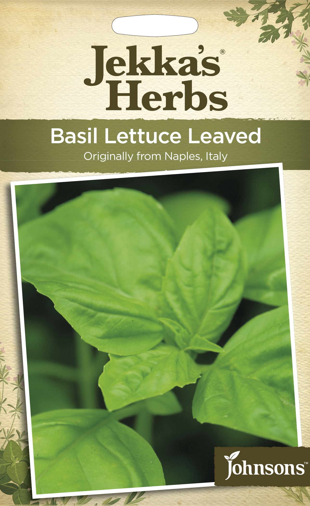 basil_lettuce_leaved
