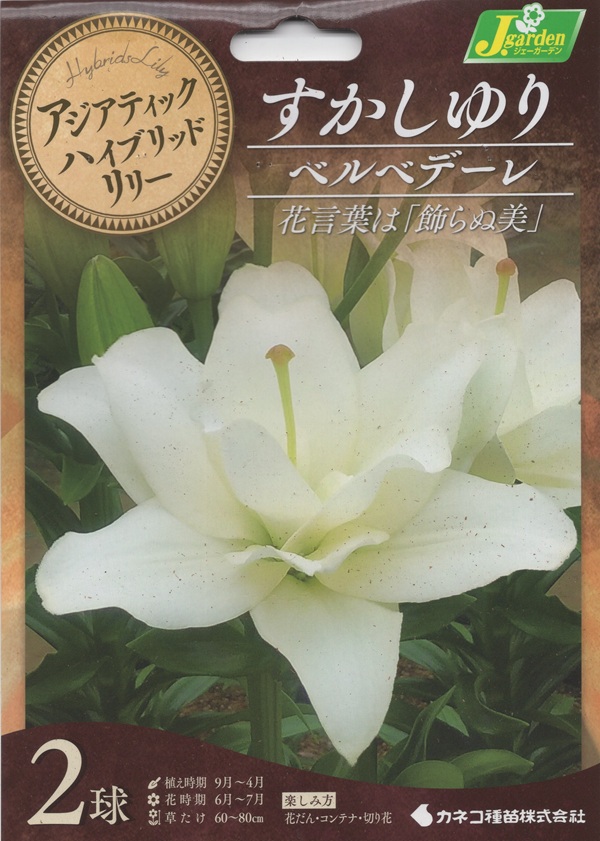 八重咲すかしゆり ベルベデーレ