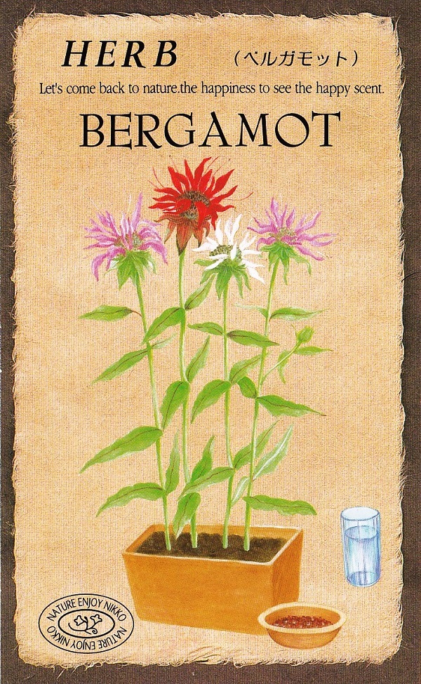ベルガモット