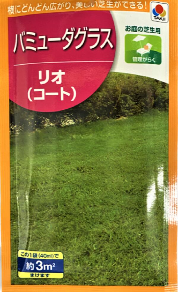 バミューダグラスリオ