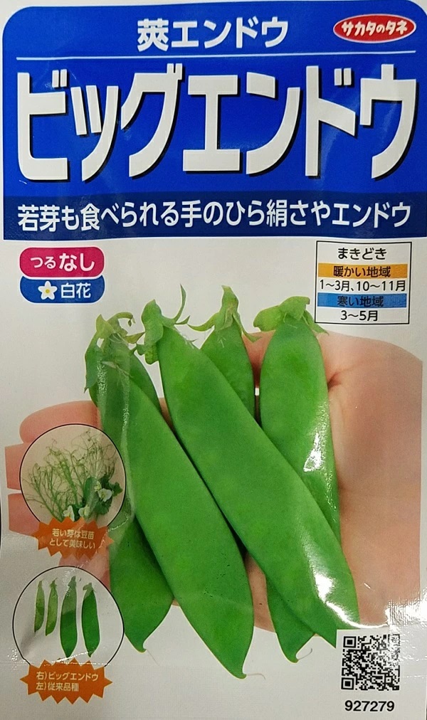 ビッグエンドウ