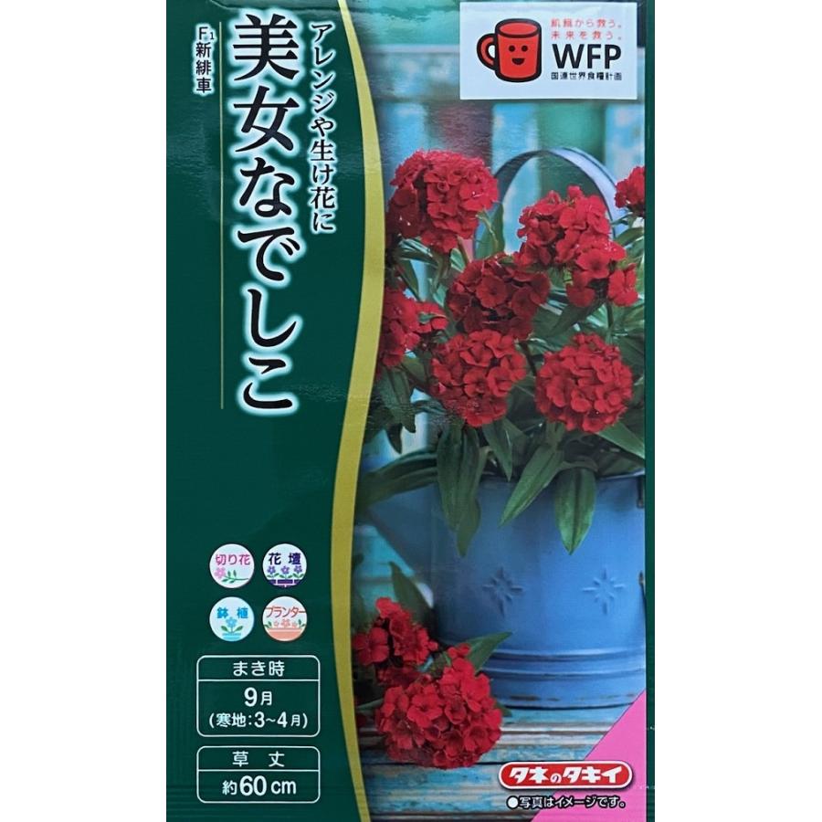 なでしこ新緋車