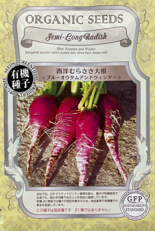 西洋むらさき大根