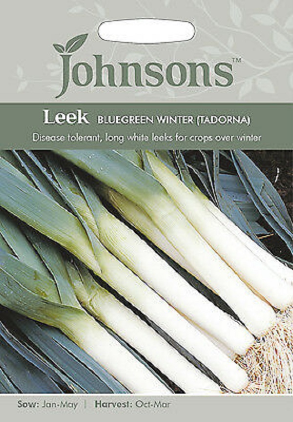 リーキ（リーク） ブルーグリーンウィンター （タドルナ）