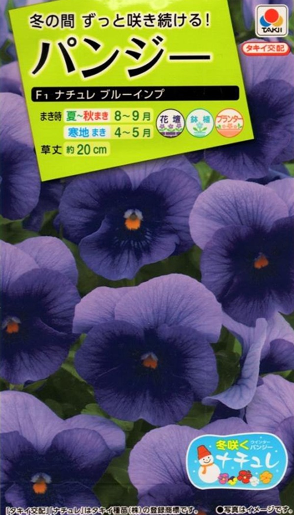 パンジー ナチュレブルーインプ