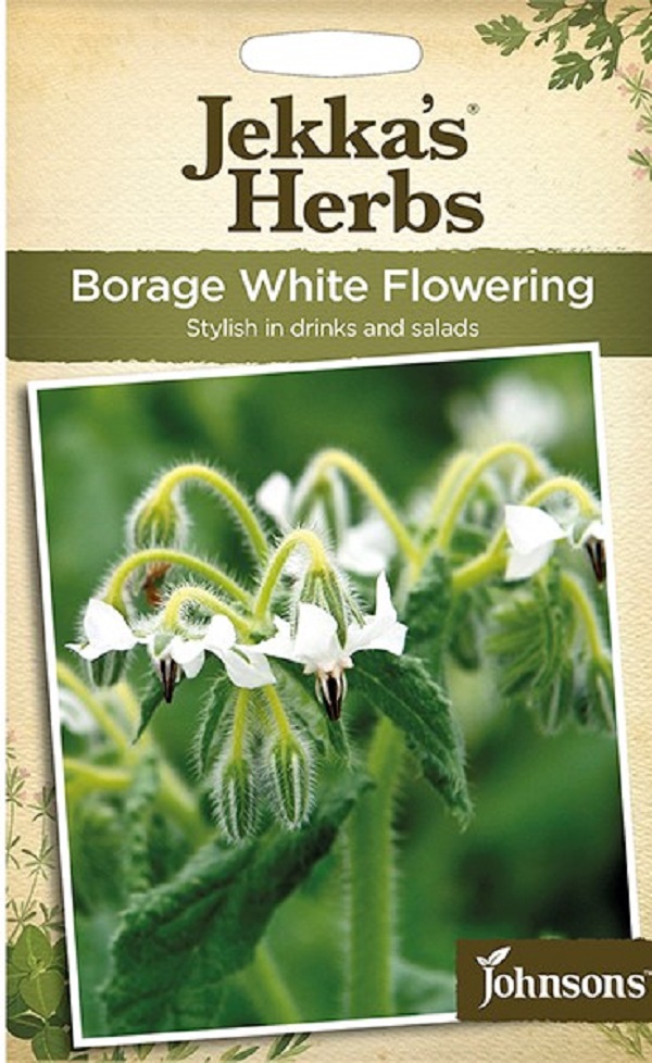 borage-white-flower
