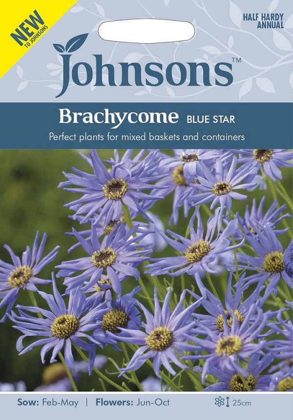輸入種子 Johnsons Seeds Brachycome Blue Star ブラキカム ブルースター ジョンソンズシード