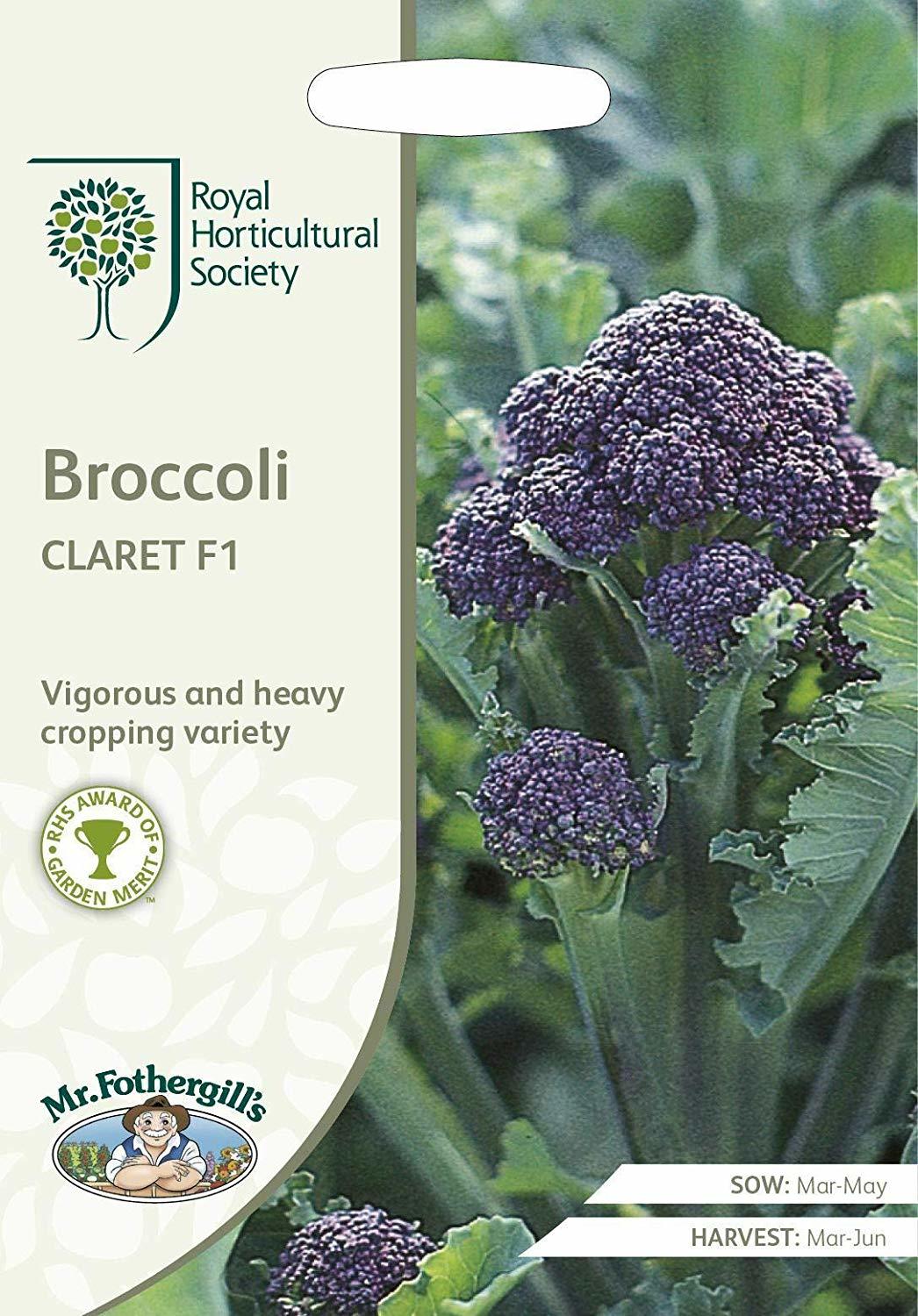 broccoli-claret