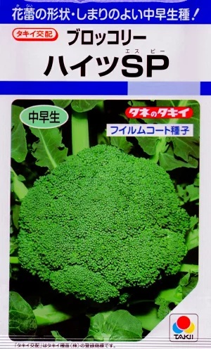 ブロッコリー　ハイツSP