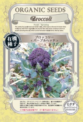 ブロッコリー　パープルヘッド