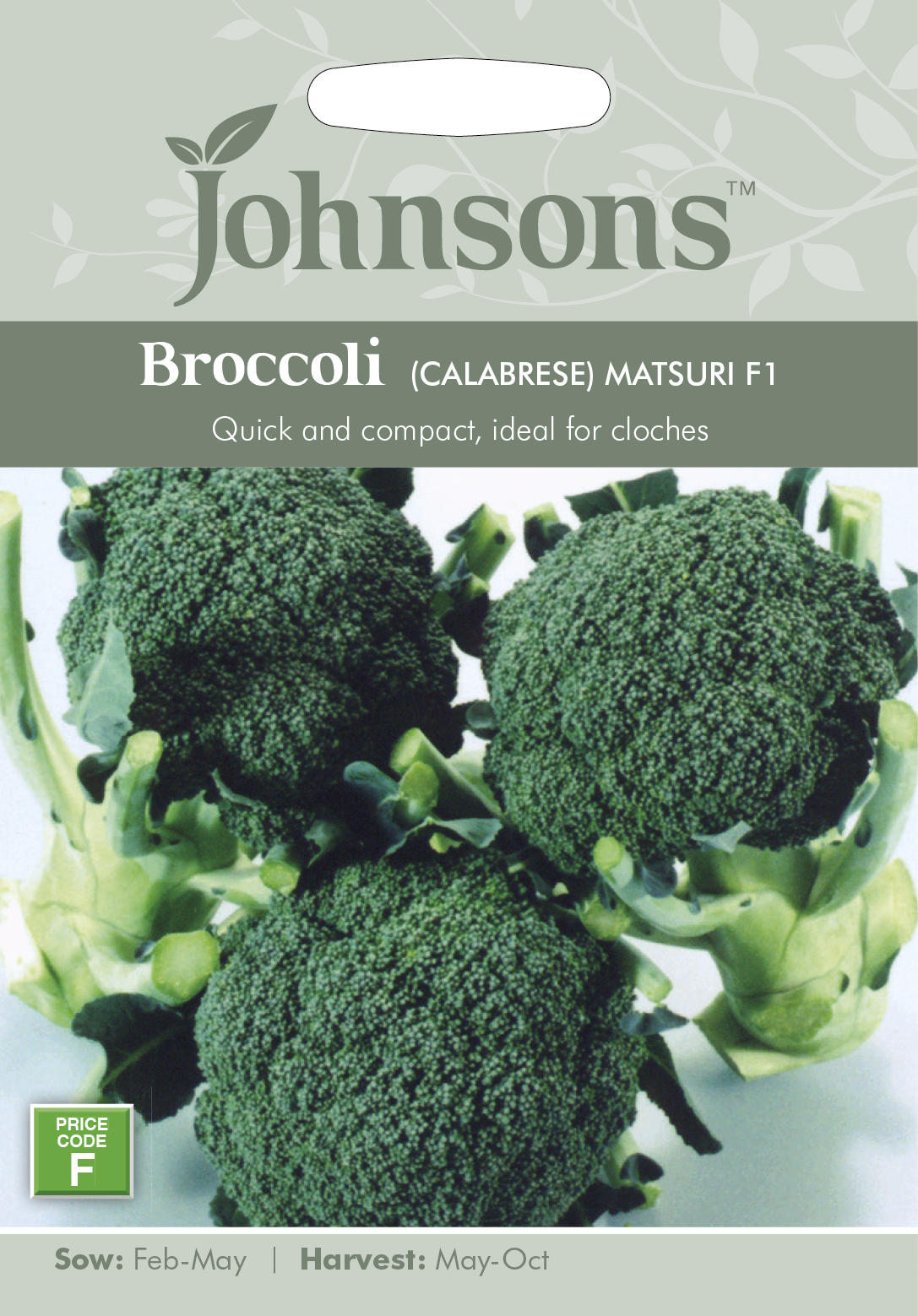 Broccoli (CALABRESE) MATSURI F1 ブロッコリー（カラブレーゼ） マツリ・F1