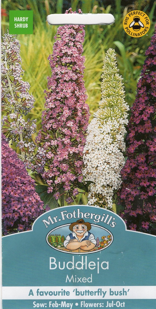 【輸入種子】 Mr.Fothergill's Seeds Buddleja Mixed ブッデリア（ブッドレア）・ミックス ミスター・フォザーギルズシード