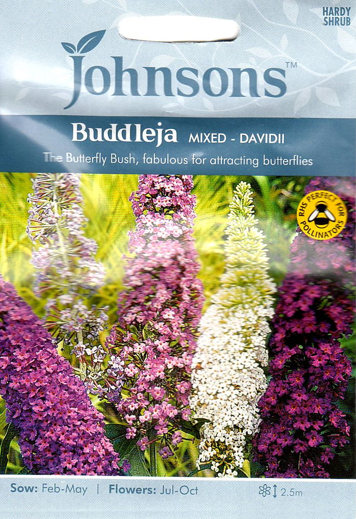 ブッデリア ダヴィディミックス