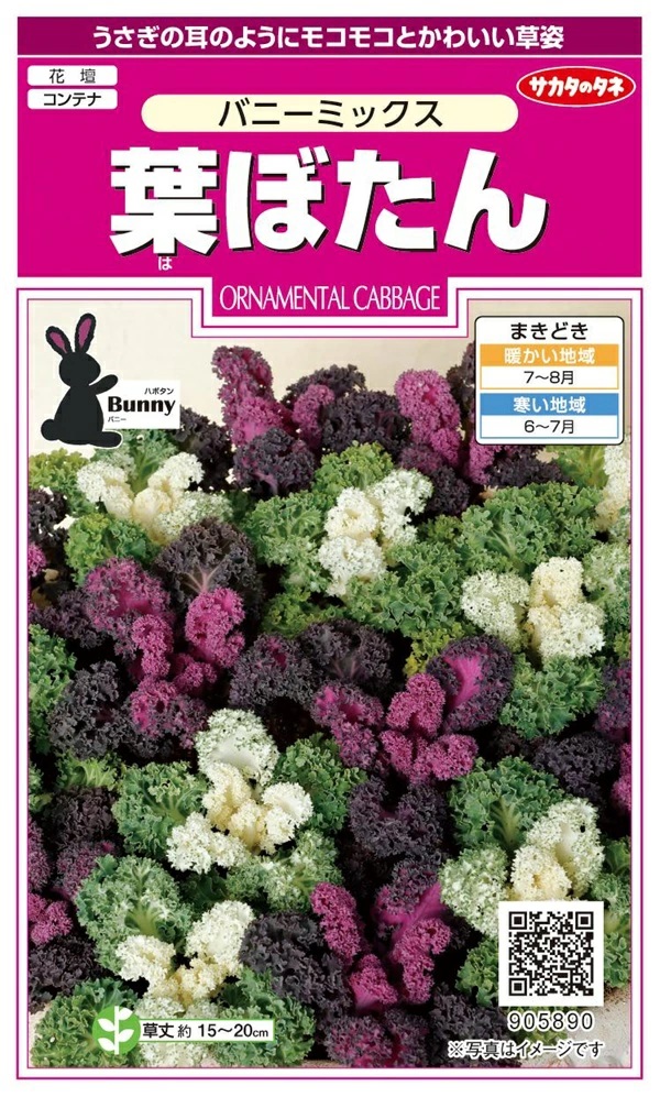 葉ぼたん バニーミックス