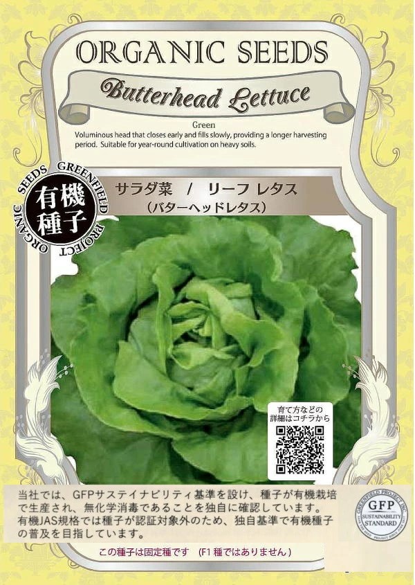 サラダ菜/リーフレタス （バターヘッドレタス）