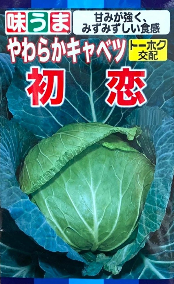 野菜種子 やわらかキャベツ 初恋 トーホクのタネ