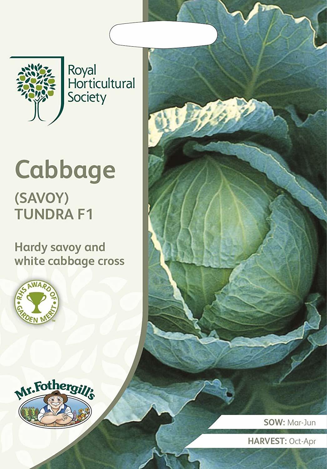 cabbage_tundra