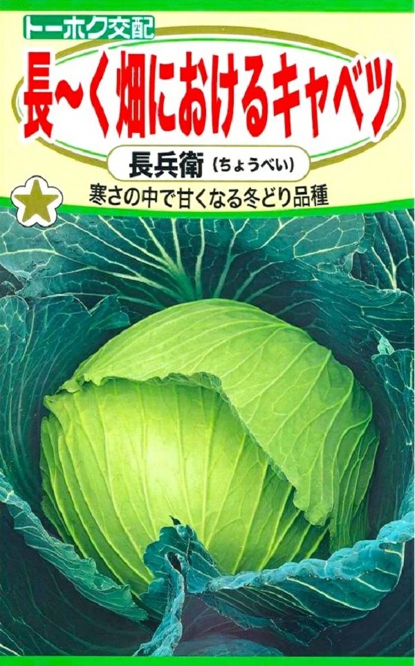 キャベツ　長兵衛