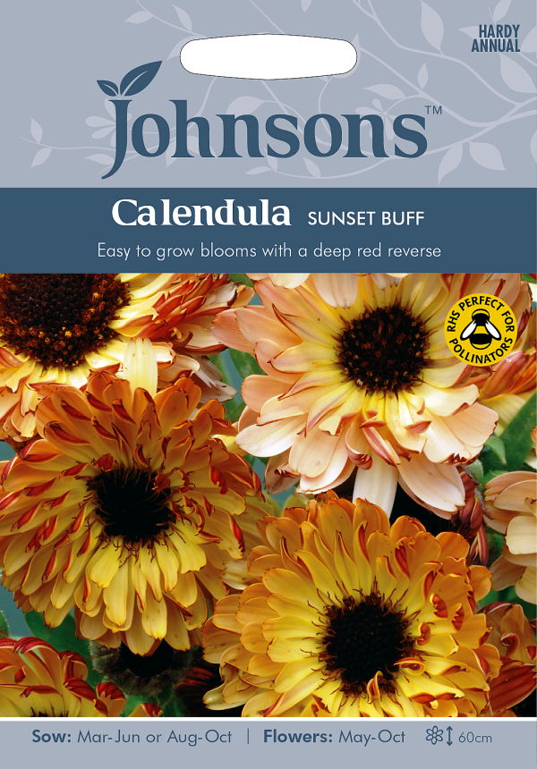 カレンデュラ・サンセット・バフ