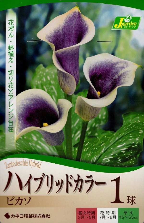 ハイブリッドカラー ピカソ 1球入