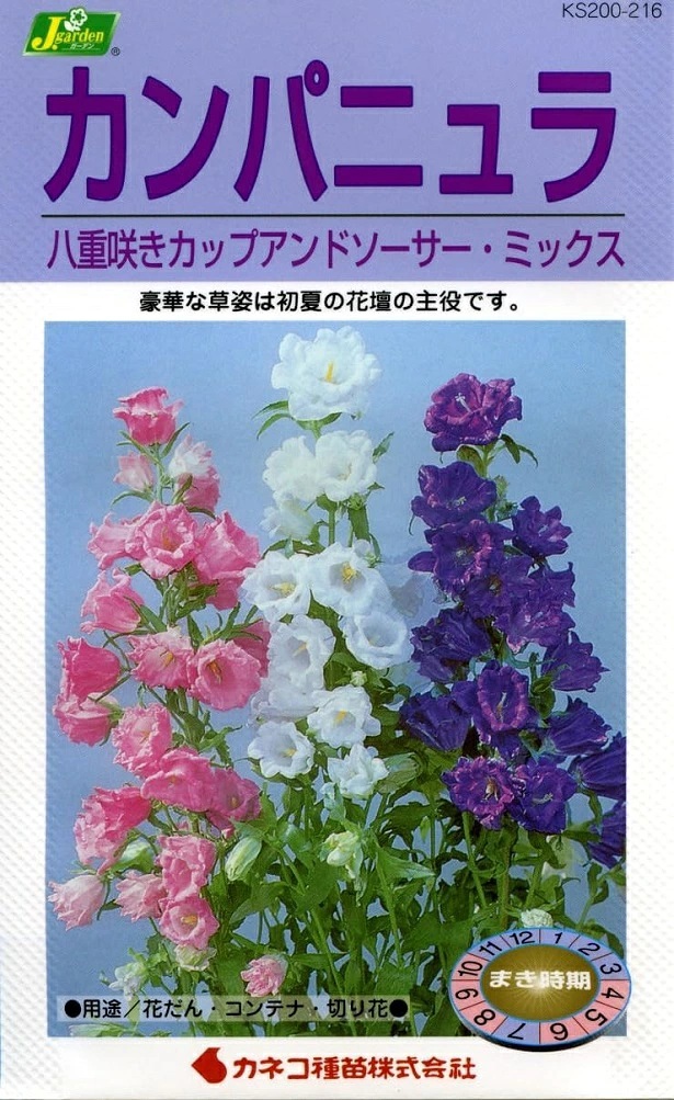 カンパニュラ八重咲ミックス