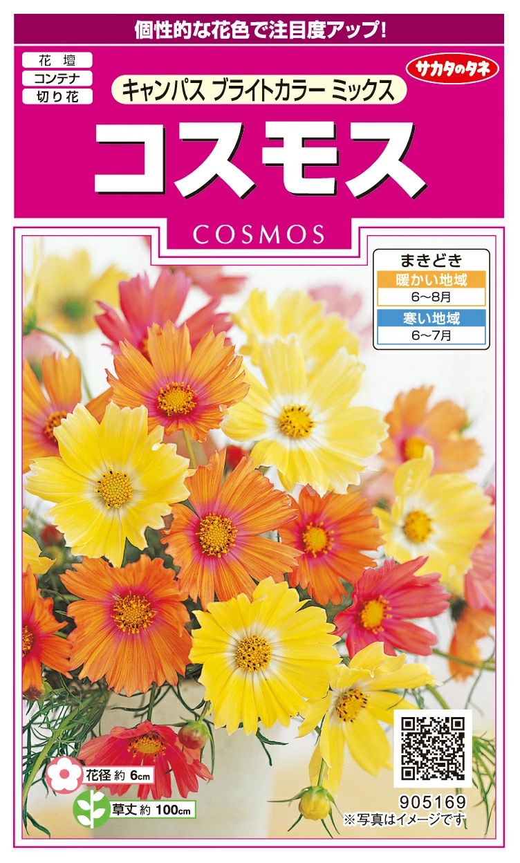 宿根コスモス類問い合わせ 宿根コスモス類問い合わせ 商品詳細｜布木の里 花信｜古典植物・山野草