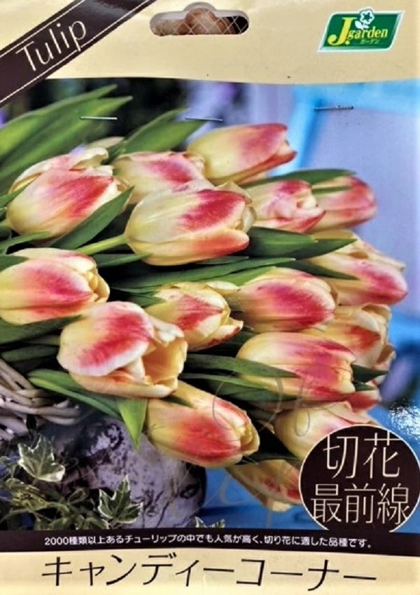 切花最前線キャンディーコーナー