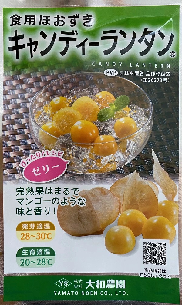 食用ほおずき キャンディーランタン