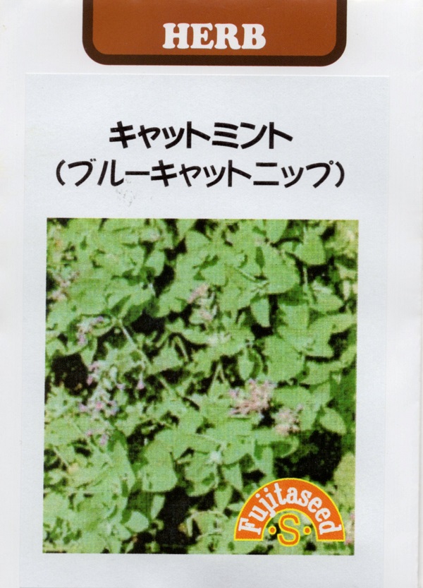ブルーキャットニップ