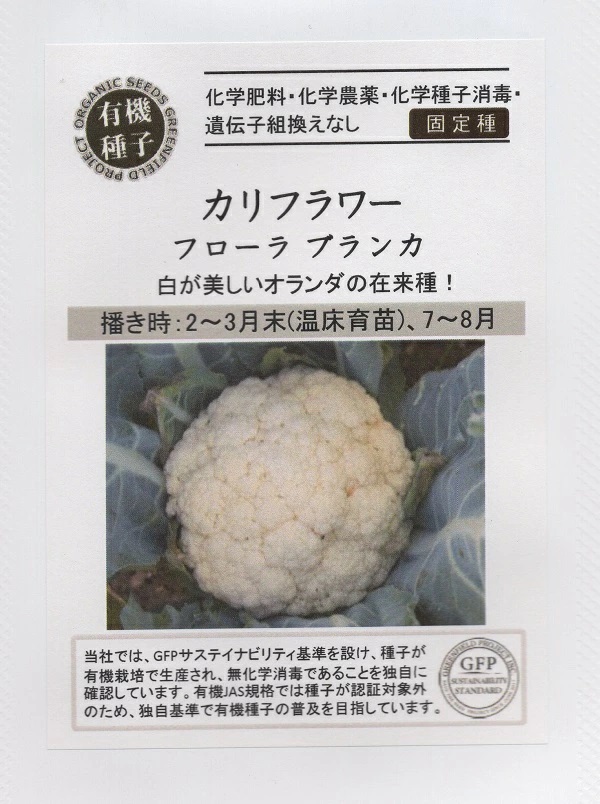 カリフラワー　フローラブランカ