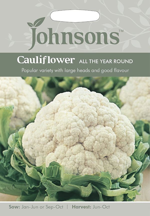 【種子】 Johnsons Seeds Cauliflower All The Year Round カリフラワー オール・ザ・イヤー・ラウンド