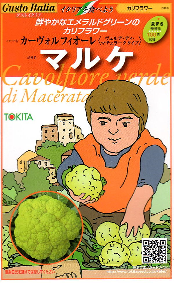 カリフラワー　マルケ