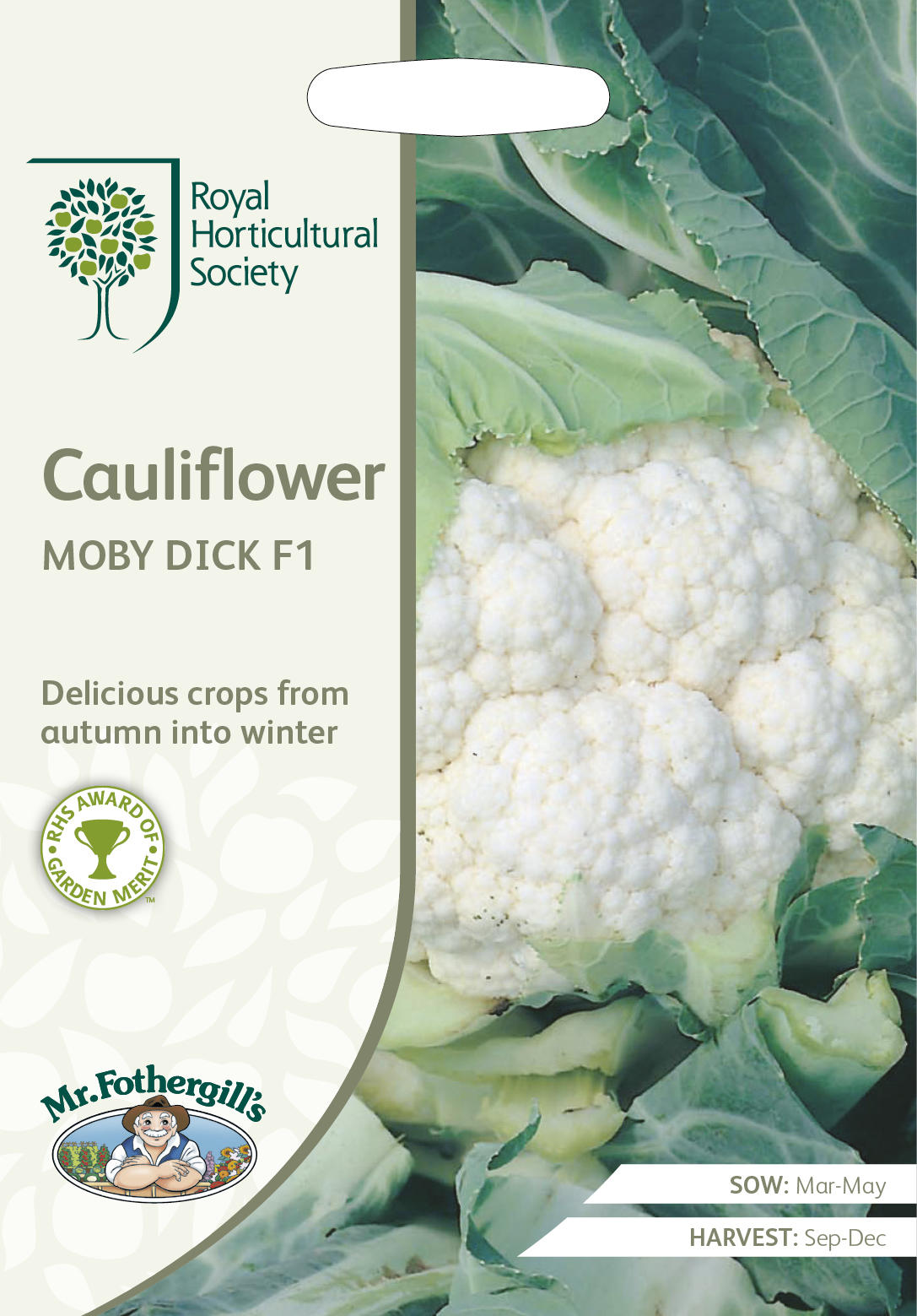 cauliflower_moby